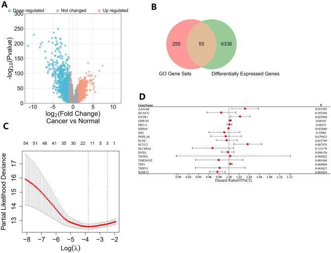 https://cdn.ncbi.nlm.nih.gov/pmc/blobs/e6ab/10645642/e2b5dfdac0ec/432_2023_5280_Fig6_HTML.jpg