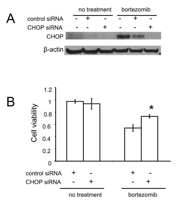 https://cdn.ncbi.nlm.nih.gov/pmc/blobs/e6be/2882347/147c84588b97/1476-4598-9-110-5.jpg