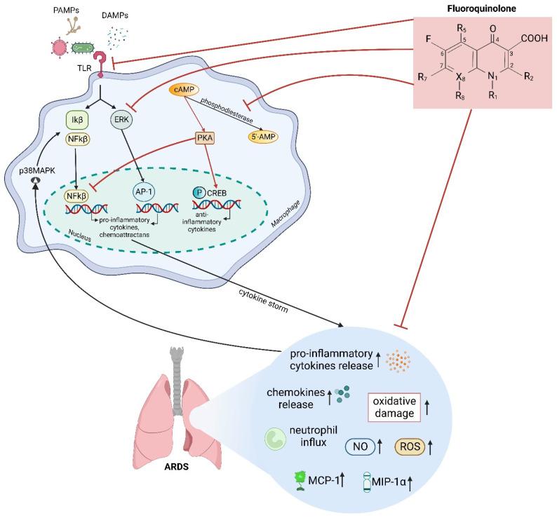 https://cdn.ncbi.nlm.nih.gov/pmc/blobs/e6e8/11048665/9c64a4b890e5/biomedicines-12-00761-g001.jpg