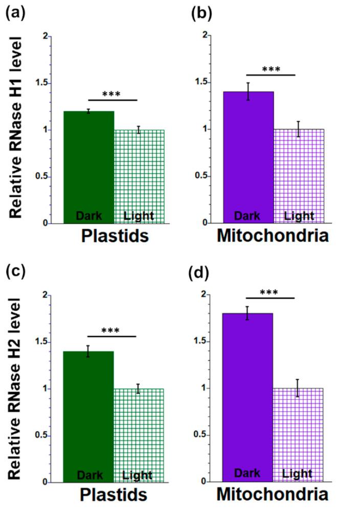 https://cdn.ncbi.nlm.nih.gov/pmc/blobs/e705/10489836/b9be48ea40c6/plants-12-03161-g006.jpg