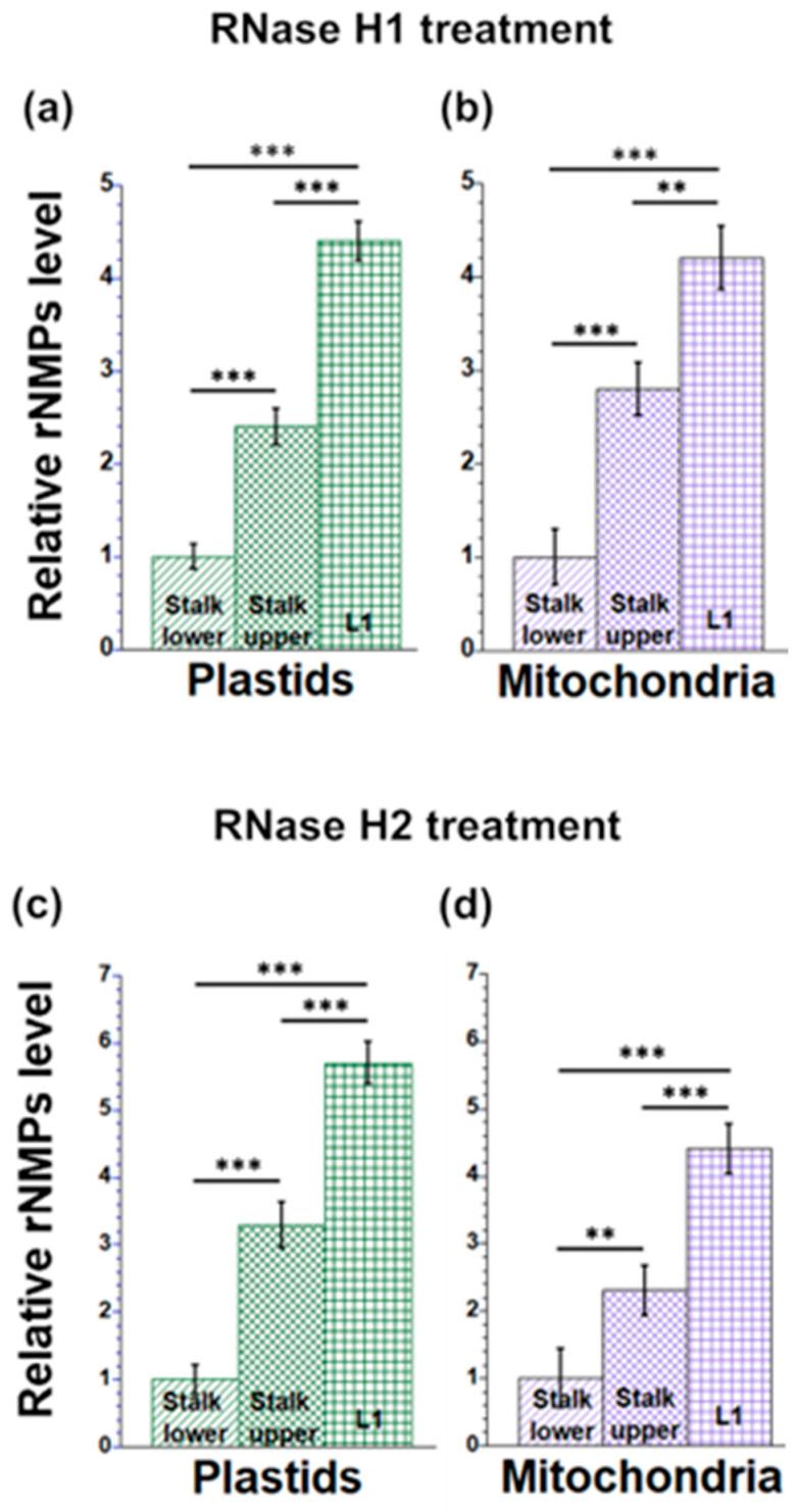 https://cdn.ncbi.nlm.nih.gov/pmc/blobs/e705/10489836/e763bfb8ff92/plants-12-03161-g003.jpg