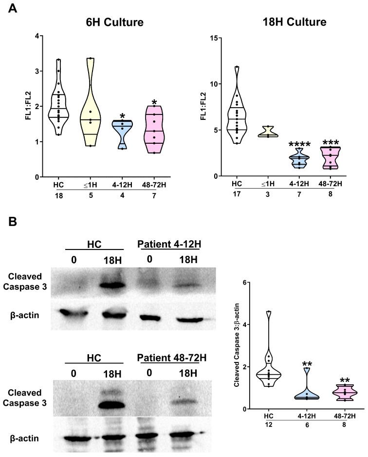 https://cdn.ncbi.nlm.nih.gov/pmc/blobs/e720/12109945/324951499513/cells-14-00754-g003.jpg