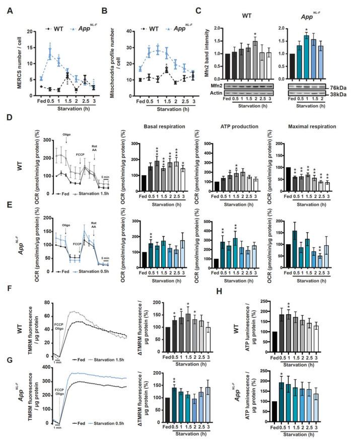 https://cdn.ncbi.nlm.nih.gov/pmc/blobs/e732/7760163/dbe024cb8fa2/cells-09-02552-g004.jpg