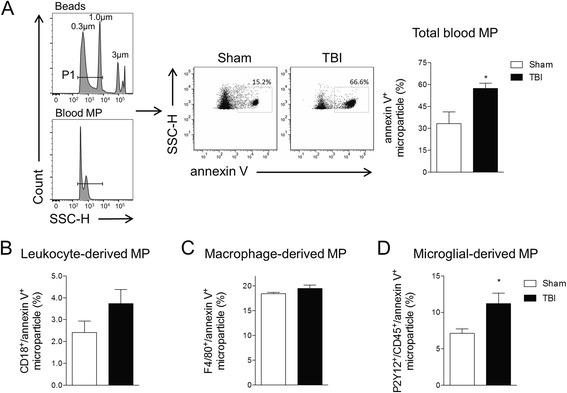 https://cdn.ncbi.nlm.nih.gov/pmc/blobs/e74c/5351060/c2c8f51e9197/12974_2017_819_Fig1_HTML.jpg