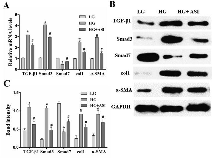 https://cdn.ncbi.nlm.nih.gov/pmc/blobs/e75a/6755437/81888e9dd65f/etm-18-04-3053-g01.jpg