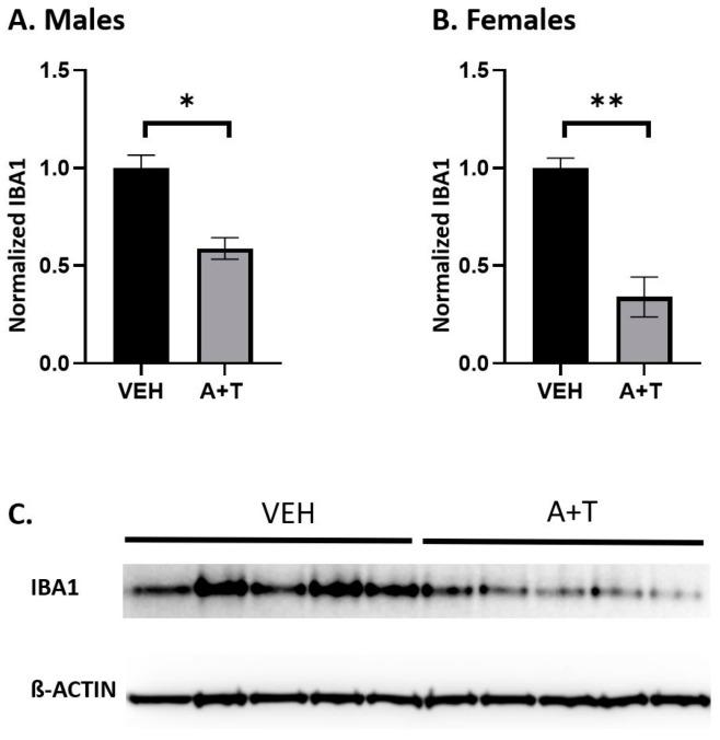 https://cdn.ncbi.nlm.nih.gov/pmc/blobs/e75b/10526910/87f5a95f12a2/biomolecules-13-01321-g006.jpg