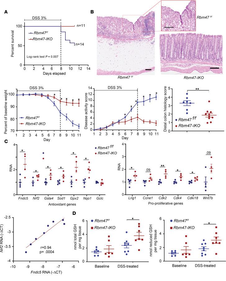 https://cdn.ncbi.nlm.nih.gov/pmc/blobs/e76d/10243830/6f0257e9ed07/jciinsight-8-161118-g094.jpg