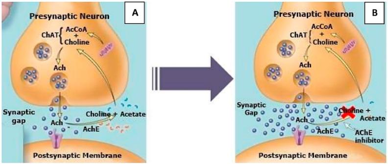 https://cdn.ncbi.nlm.nih.gov/pmc/blobs/e77c/9147832/1d4b1fadba21/molecules-27-03222-g002.jpg