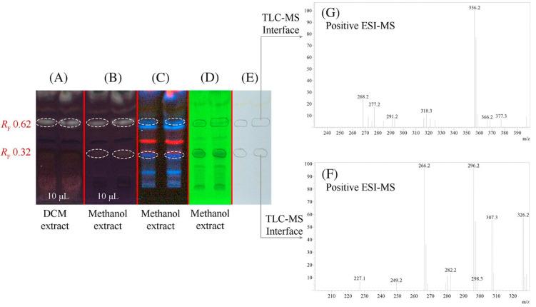 https://cdn.ncbi.nlm.nih.gov/pmc/blobs/e77c/9147832/37111c0f9a03/molecules-27-03222-g005.jpg