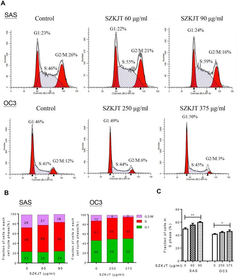 https://cdn.ncbi.nlm.nih.gov/pmc/blobs/e78c/9679344/ce5e024011f6/10.1177_15347354221134921-fig3.jpg