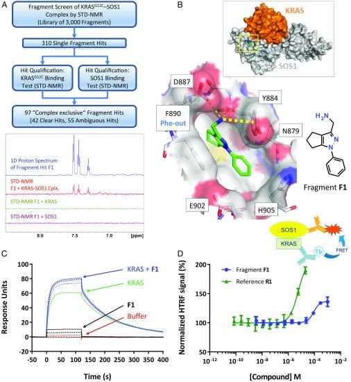 https://cdn.ncbi.nlm.nih.gov/pmc/blobs/e7a2/6377443/2106404b1d90/pnas.1812963116fig01.jpg