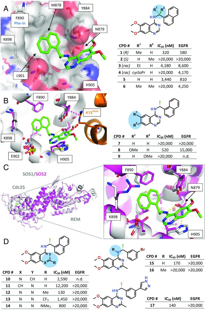 https://cdn.ncbi.nlm.nih.gov/pmc/blobs/e7a2/6377443/757ef0d75458/pnas.1812963116fig03.jpg