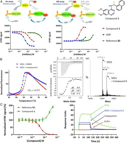 https://cdn.ncbi.nlm.nih.gov/pmc/blobs/e7a2/6377443/eb80b65a4ba6/pnas.1812963116fig02.jpg