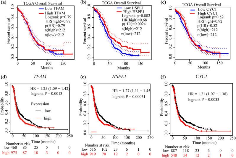 https://cdn.ncbi.nlm.nih.gov/pmc/blobs/e7b2/11806237/5c3a1d5143d1/j_med-2024-1089-fig004.jpg