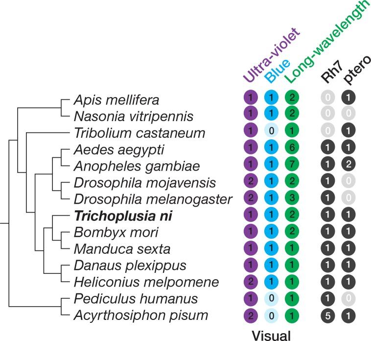 https://cdn.ncbi.nlm.nih.gov/pmc/blobs/e7bf/5844692/2624c8de4378/elife-31628-fig1-figsupp3.jpg
