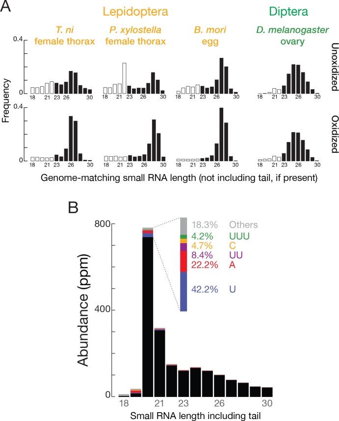https://cdn.ncbi.nlm.nih.gov/pmc/blobs/e7bf/5844692/3b1f3c72c1bb/elife-31628-fig4-figsupp1.jpg