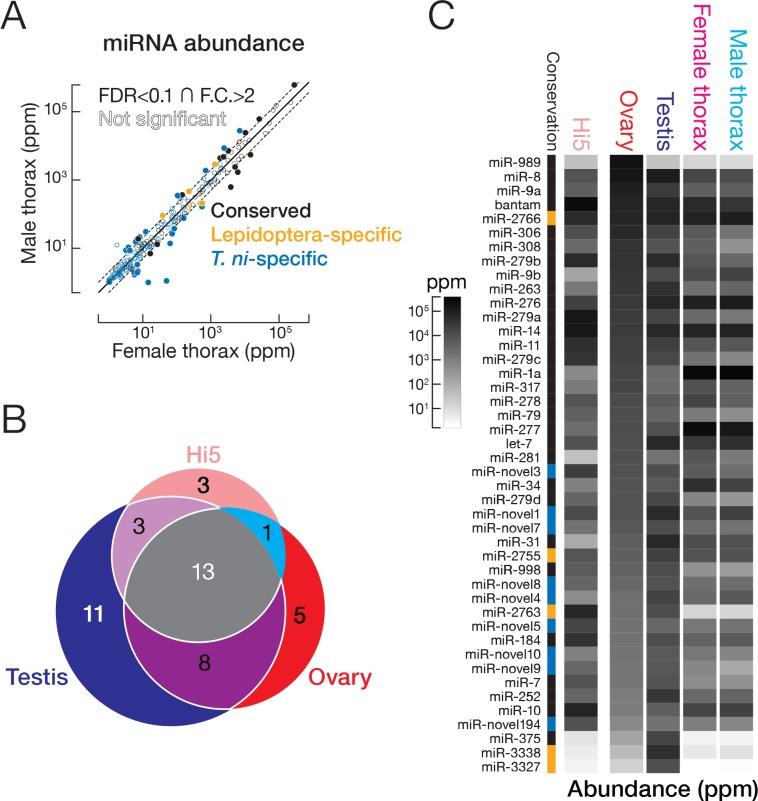 https://cdn.ncbi.nlm.nih.gov/pmc/blobs/e7bf/5844692/6974d3a9396b/elife-31628-fig3.jpg