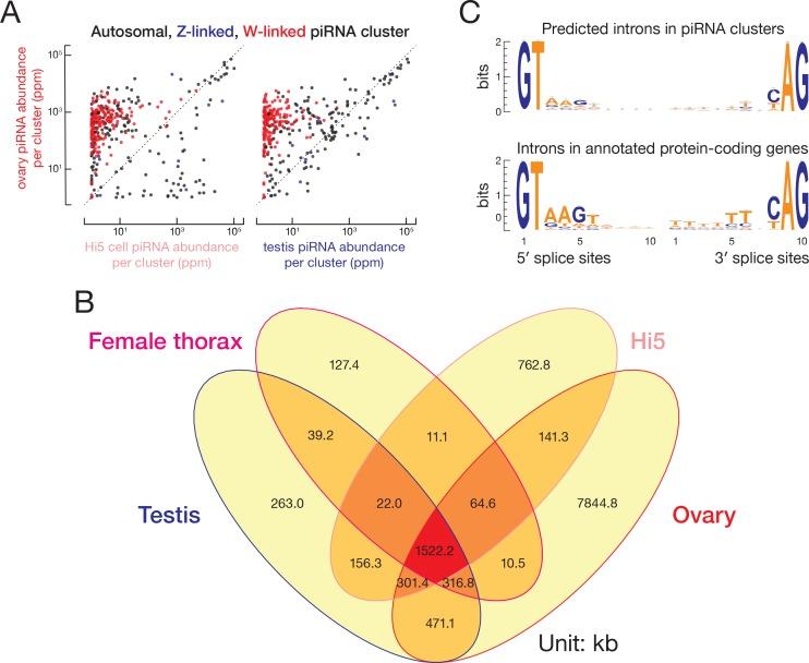 https://cdn.ncbi.nlm.nih.gov/pmc/blobs/e7bf/5844692/b27f4b9cd585/elife-31628-fig6-figsupp1.jpg
