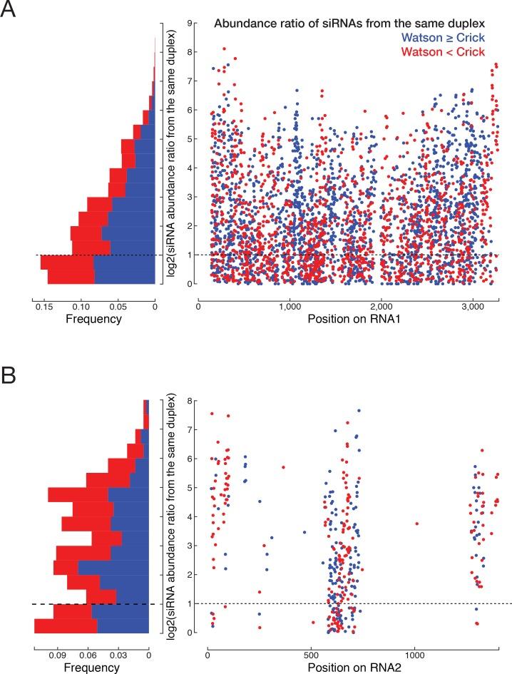 https://cdn.ncbi.nlm.nih.gov/pmc/blobs/e7bf/5844692/e050bb24c307/elife-31628-fig4-figsupp2.jpg