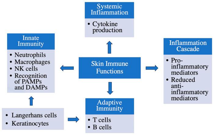 https://cdn.ncbi.nlm.nih.gov/pmc/blobs/e7c0/10669244/371ce11e9c0c/biology-12-01396-g003.jpg