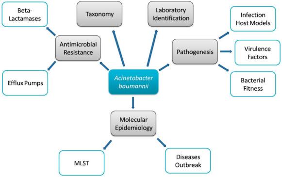 https://cdn.ncbi.nlm.nih.gov/pmc/blobs/e7f1/8541637/6eafb7c50960/microorganisms-09-02104-g001.jpg