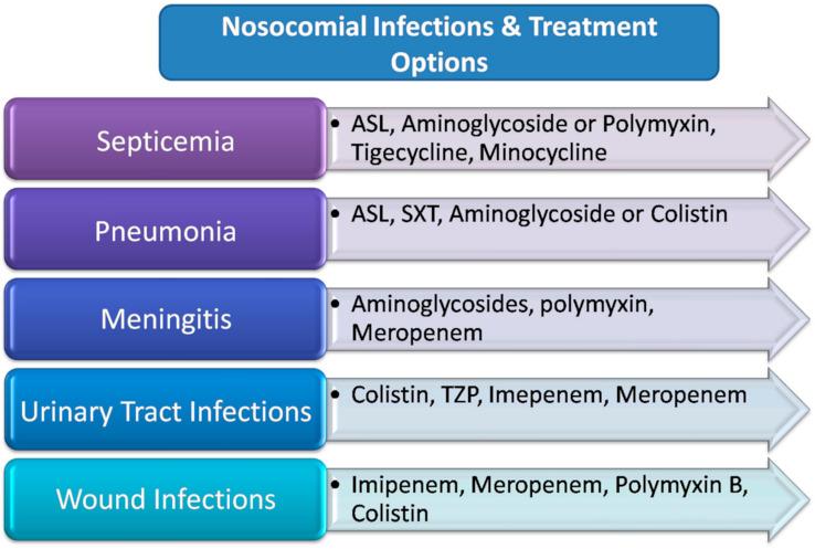 https://cdn.ncbi.nlm.nih.gov/pmc/blobs/e7f1/8541637/fa9bb5dfd37d/microorganisms-09-02104-g003.jpg