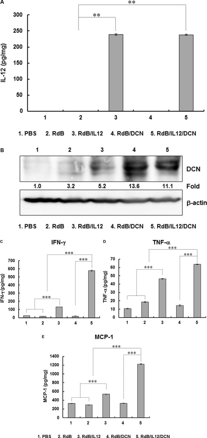 https://cdn.ncbi.nlm.nih.gov/pmc/blobs/e7f8/5354867/0d915fe129ff/oncotarget-08-4730-g003.jpg