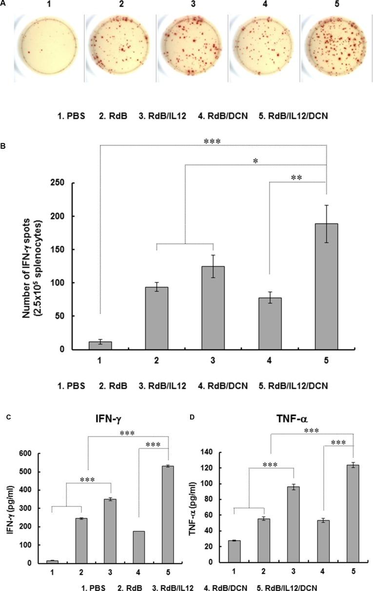 https://cdn.ncbi.nlm.nih.gov/pmc/blobs/e7f8/5354867/24dfa834e510/oncotarget-08-4730-g004.jpg