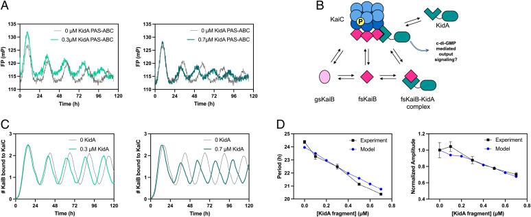 https://cdn.ncbi.nlm.nih.gov/pmc/blobs/e7fe/9478674/75d01ed76c69/pnas.2202426119fig04.jpg