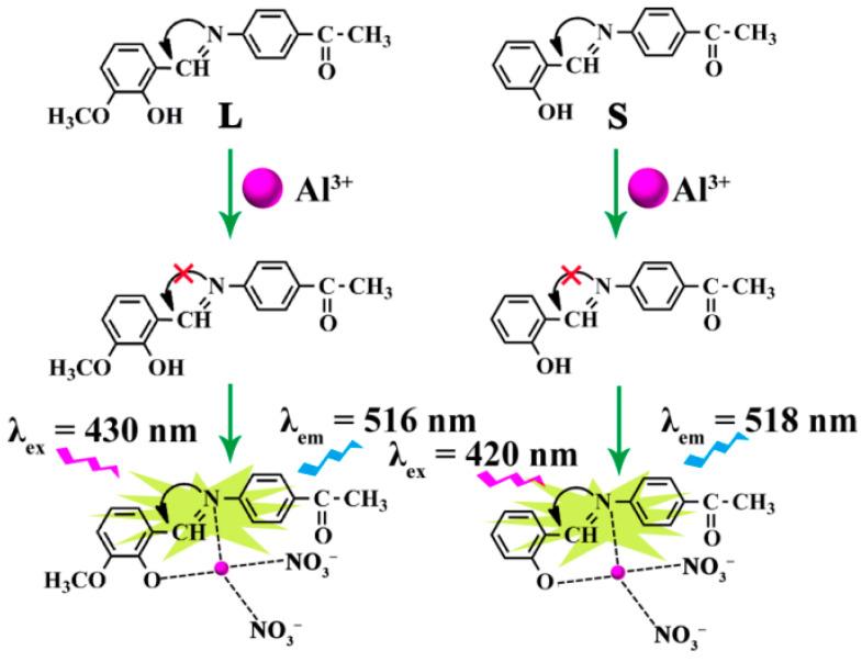 https://cdn.ncbi.nlm.nih.gov/pmc/blobs/e805/10096070/0877b5dd1f91/molecules-28-03090-sch002.jpg