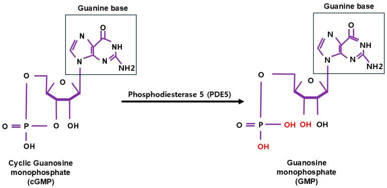 https://cdn.ncbi.nlm.nih.gov/pmc/blobs/e821/11763391/79cf34eb381f/cells-14-00086-g002.jpg