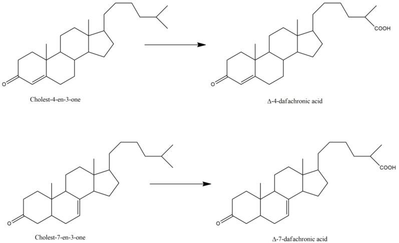 https://cdn.ncbi.nlm.nih.gov/pmc/blobs/e823/8945457/f8fce992c42f/biomolecules-12-00342-g002.jpg