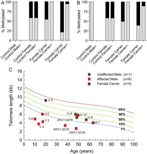 https://cdn.ncbi.nlm.nih.gov/pmc/blobs/e82b/3088476/685cb630e0f5/jmedgenet85100fig2.jpg