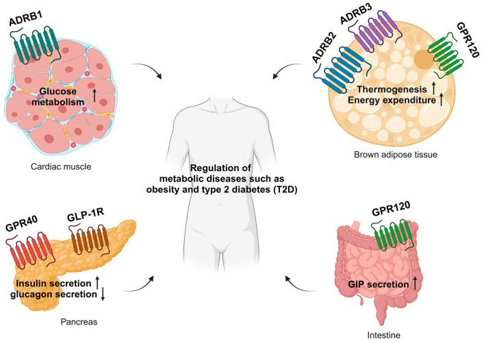 https://cdn.ncbi.nlm.nih.gov/pmc/blobs/e82c/11852853/092831b12be6/biomolecules-15-00291-g001.jpg