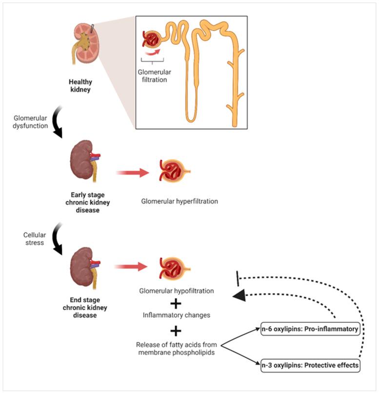 https://cdn.ncbi.nlm.nih.gov/pmc/blobs/e833/11597274/e1f40c1799d6/nutrients-16-03812-g007.jpg