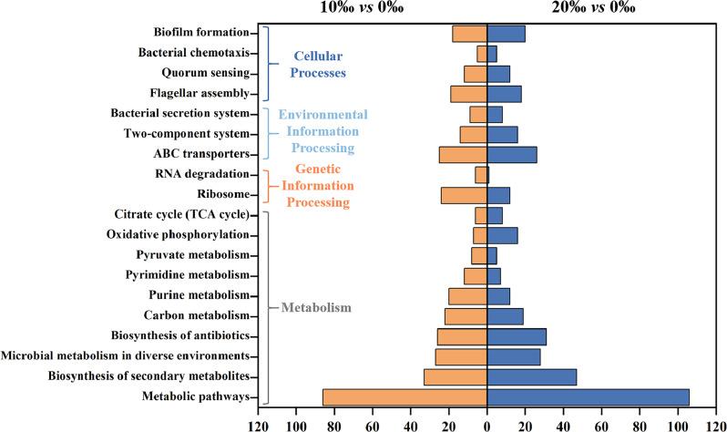 https://cdn.ncbi.nlm.nih.gov/pmc/blobs/e840/12046933/7f68f91f43ee/12866_2025_3977_Fig7_HTML.jpg
