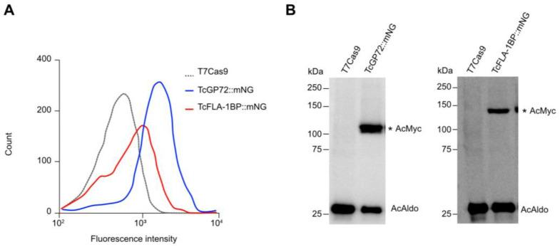 https://cdn.ncbi.nlm.nih.gov/pmc/blobs/e843/10675206/9171b79aef93/pathogens-12-01367-g002.jpg