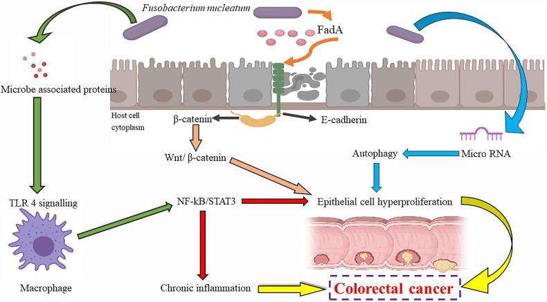 https://cdn.ncbi.nlm.nih.gov/pmc/blobs/e863/9036991/e729ce2e19e5/fonc-12-836004-g004.jpg