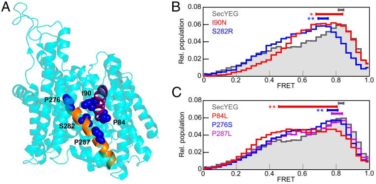 https://cdn.ncbi.nlm.nih.gov/pmc/blobs/e88c/8256087/6bc902188e21/pnas.2100474118fig06.jpg