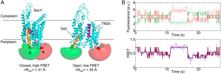 https://cdn.ncbi.nlm.nih.gov/pmc/blobs/e88c/8256087/d7323c5d5613/pnas.2100474118fig01.jpg