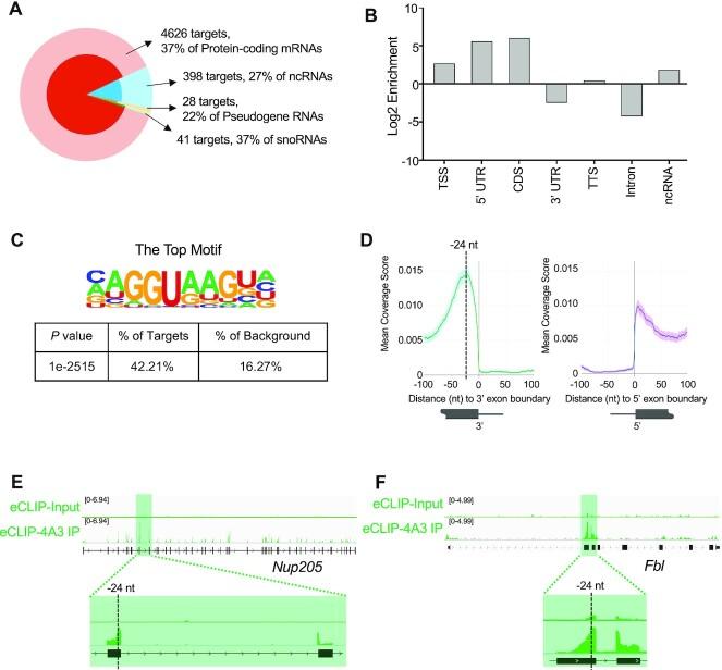 https://cdn.ncbi.nlm.nih.gov/pmc/blobs/e88f/9757061/7e9a2e54ce5a/gkac1084fig4.jpg