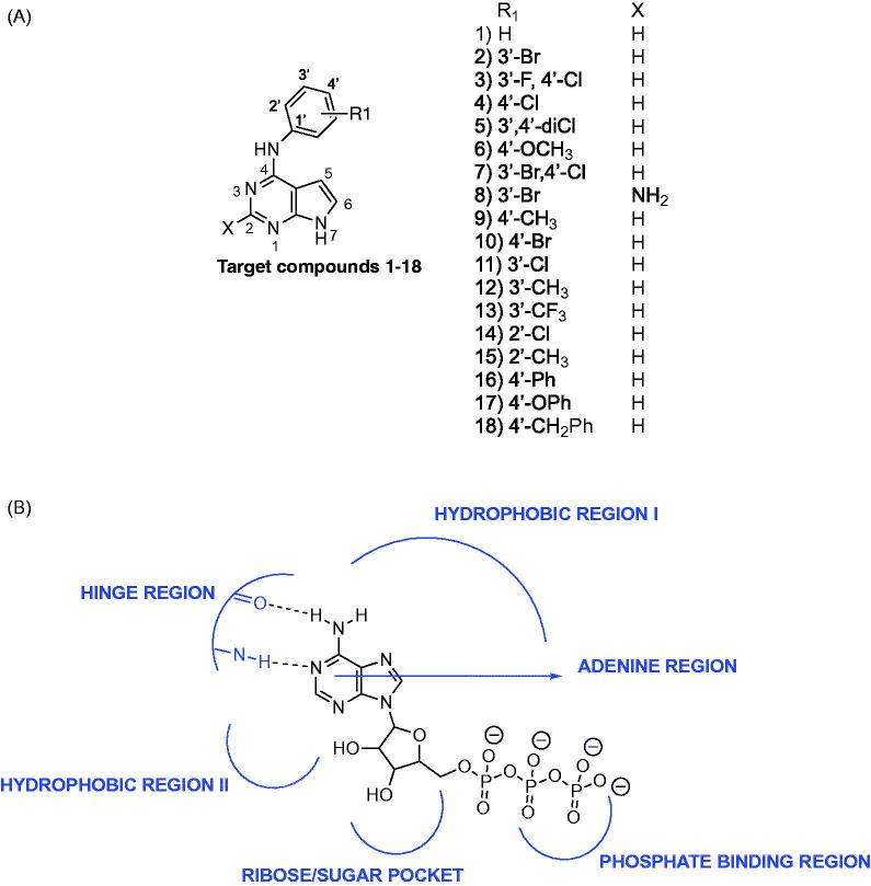 https://cdn.ncbi.nlm.nih.gov/pmc/blobs/e8d3/6009956/f940a3755edc/IENZ_A_1376666_F0001_C.jpg