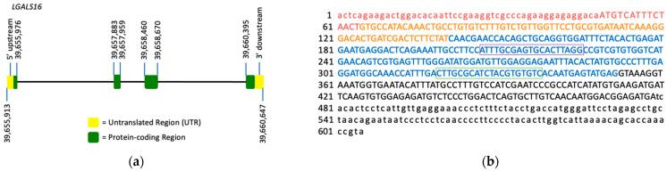 https://cdn.ncbi.nlm.nih.gov/pmc/blobs/e8e7/8699332/6d097e88d9cd/biomolecules-11-01909-g001.jpg