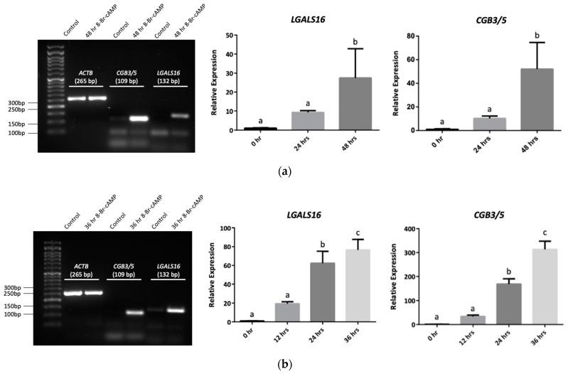 https://cdn.ncbi.nlm.nih.gov/pmc/blobs/e8e7/8699332/a12007c1e256/biomolecules-11-01909-g004.jpg