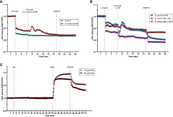 https://cdn.ncbi.nlm.nih.gov/pmc/blobs/e8f1/8013776/13e6ad72fee4/fimmu-12-662987-g005.jpg