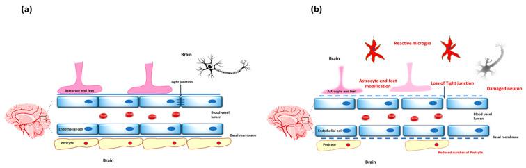 https://cdn.ncbi.nlm.nih.gov/pmc/blobs/e8f3/12294845/1a9b039e6f03/ijms-26-06917-g001.jpg