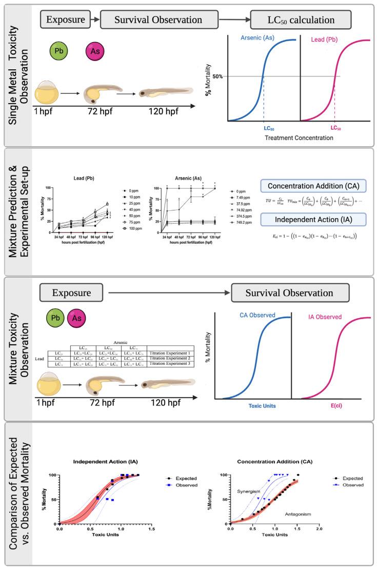 https://cdn.ncbi.nlm.nih.gov/pmc/blobs/e8fd/9776292/eed42bdcc405/biomolecules-12-01833-g001.jpg