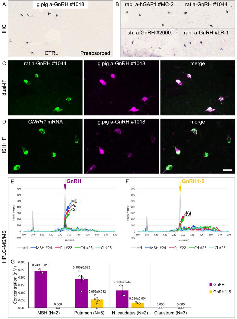 https://cdn.ncbi.nlm.nih.gov/pmc/blobs/e905/8245125/983e67ebad18/elife-67714-fig2.jpg