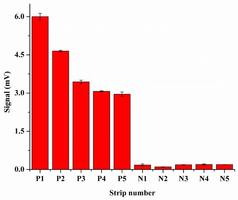 https://cdn.ncbi.nlm.nih.gov/pmc/blobs/e926/11673715/67a319a5a695/biomolecules-14-01568-g004.jpg
