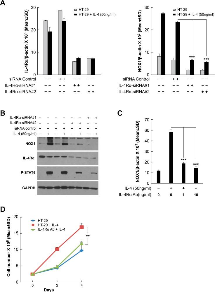 https://cdn.ncbi.nlm.nih.gov/pmc/blobs/e92b/5503519/6b758179d1b4/oncotarget-08-38113-g004.jpg